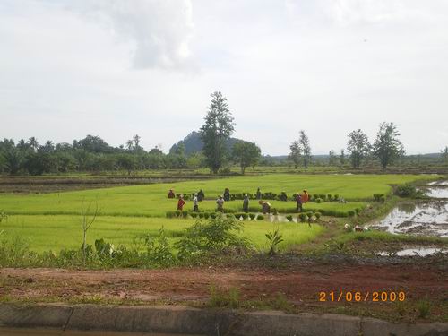 รูปภาพ