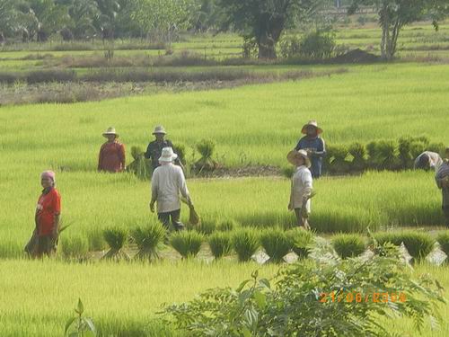 รูปภาพ