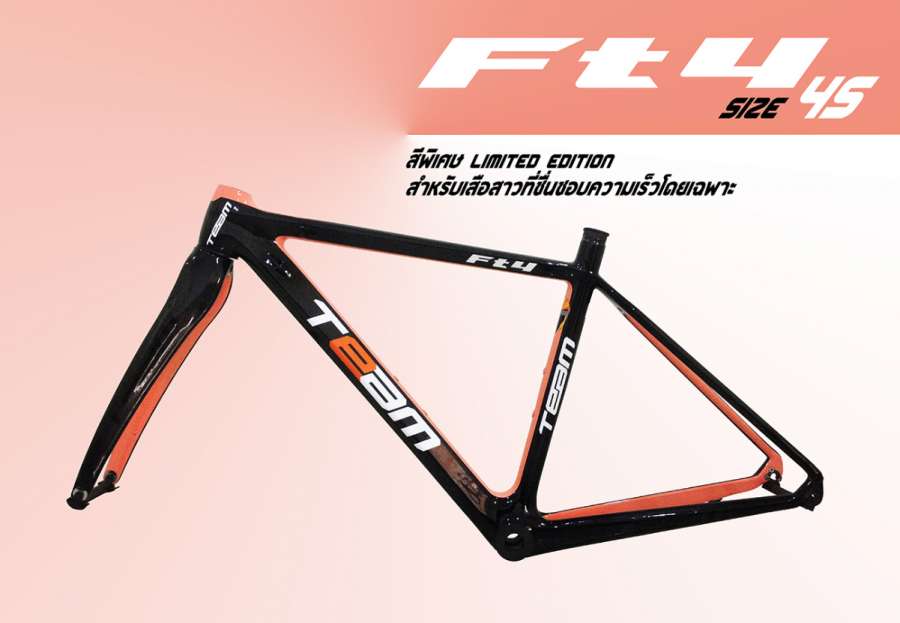 TEAM Ft4 Full Carbon for women