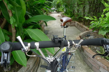 Mosquito Handlebar