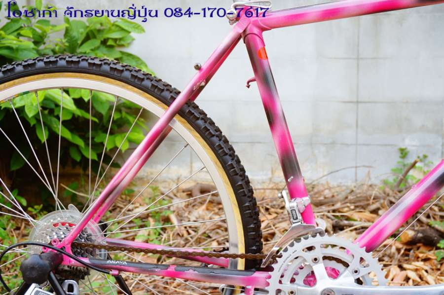 pink-araya-muddy-fox-28.jpg