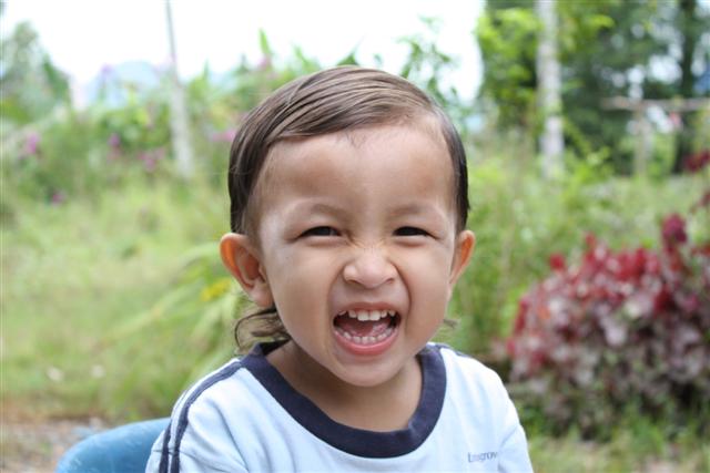 รูปภาพ