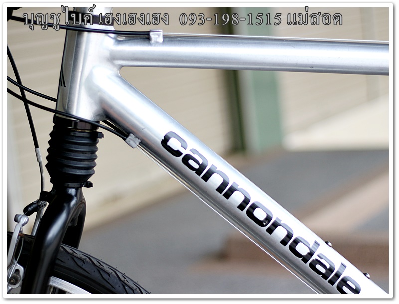 cannondale_10.jpg