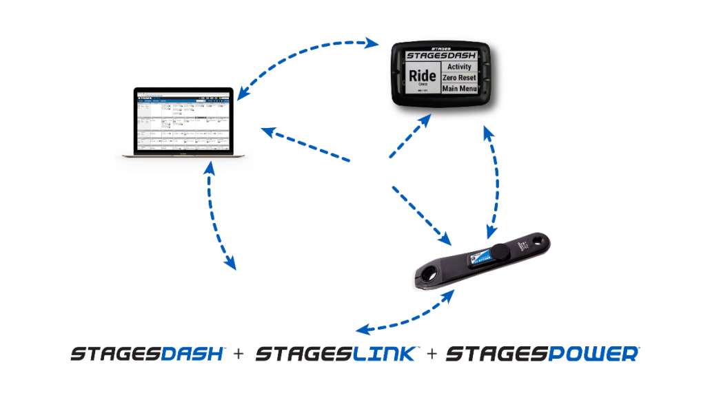 stages intro.jpg