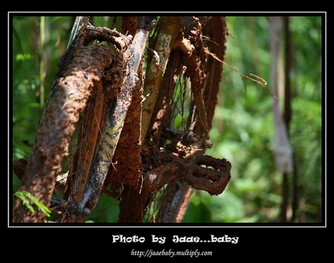 รูปภาพ