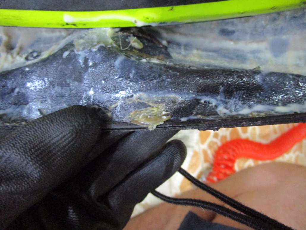 MTB tubeless repair (10).JPG