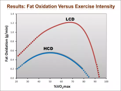 fat oxi vo2max.png