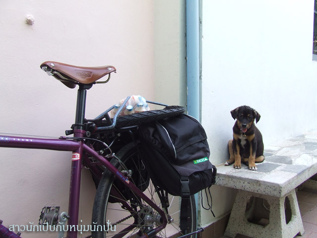 รูปภาพ