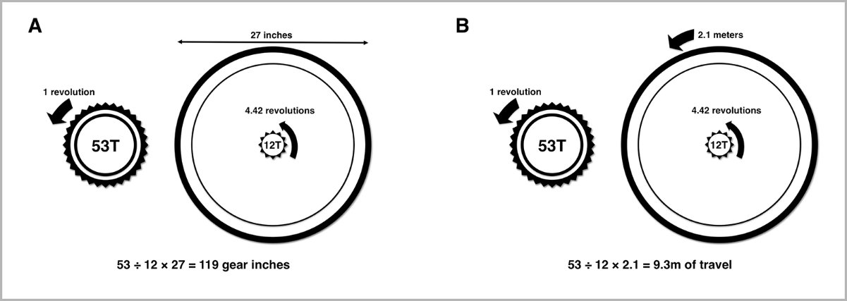 Figure1C.jpg