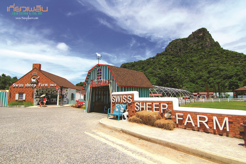 Swiss-Sheep-Farm-ฟาร์มแกะชะอำ-1.jpg