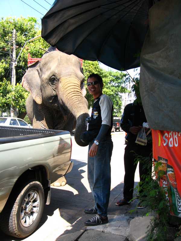 รูปภาพ