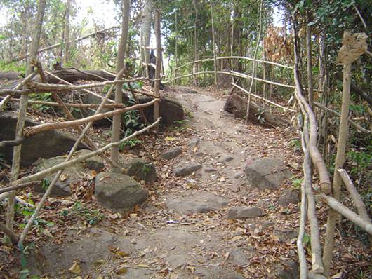 รูปภาพ