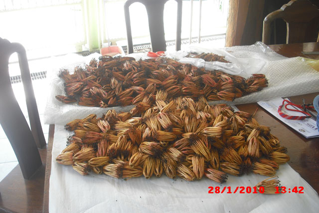 รูปภาพ