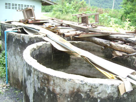 Picture 130.jpg12358.jpg