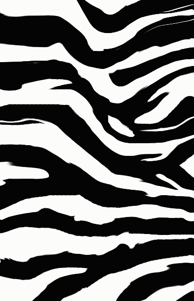 zebra-pattern[1].GIF
