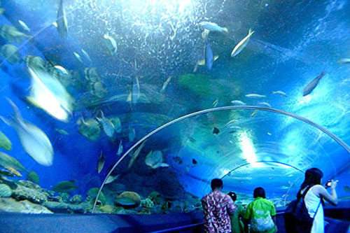 3794-underwater_world_pattaya[1].jpg