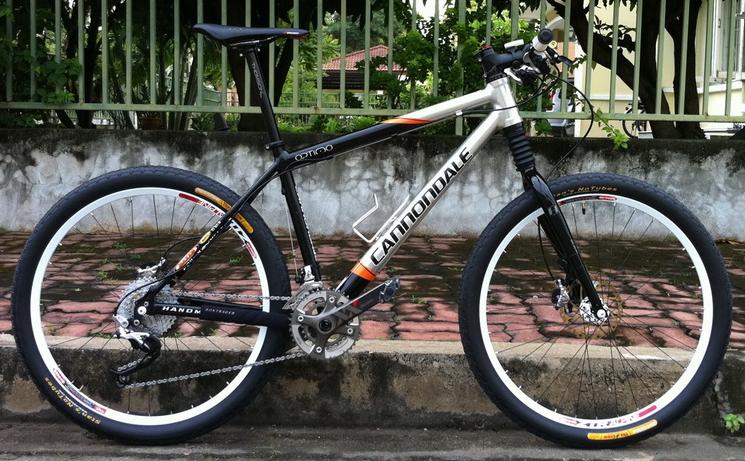 Cannondale Optimo_1.jpg
