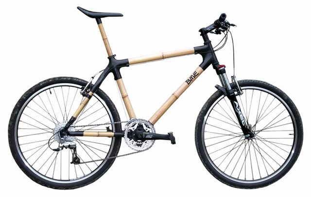 Bamboobike