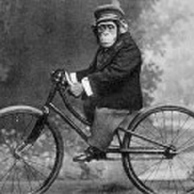 bike chimp_resize.jpg