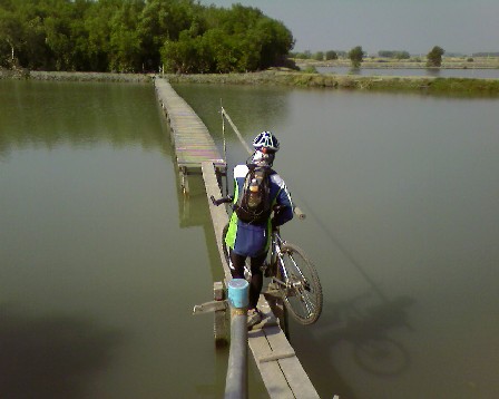 มีสะพานไม้ให้เสียวเล่นอีกแล้ว