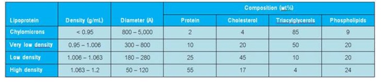 the cholesteral con p6.jpg