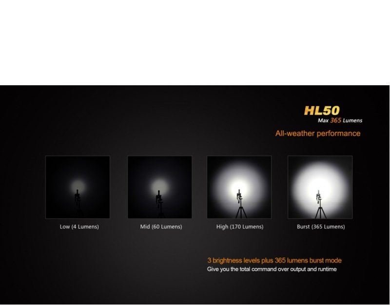 HL50_06.jpg