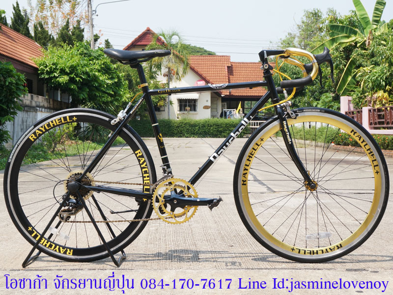 Rachell-gold-dragon-road-bike-01.jpg