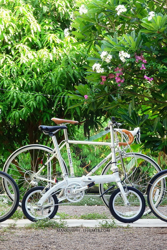 Dahon Dove - Araya Excella Classic Kohaku_.jpg