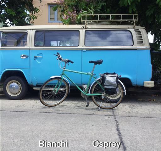 Bianchi Osprey (Small).jpg