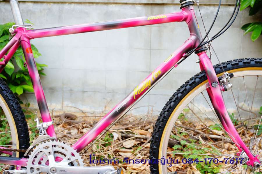 pink-araya-muddy-fox-29.jpg