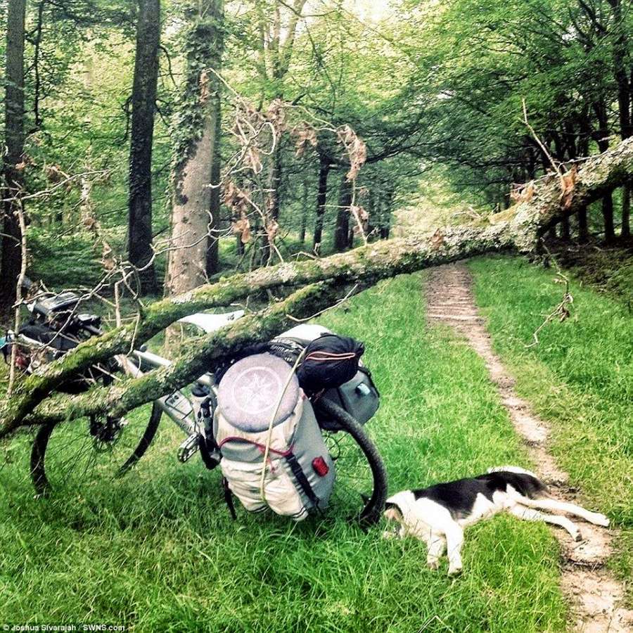 conoce-al-hombre-que-dejo-su-trabajo-para-viajar-en-bicicleta-con-su-amado-perro 05.jpg