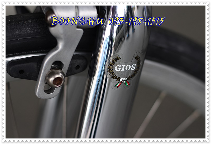 GIOS (18).JPG