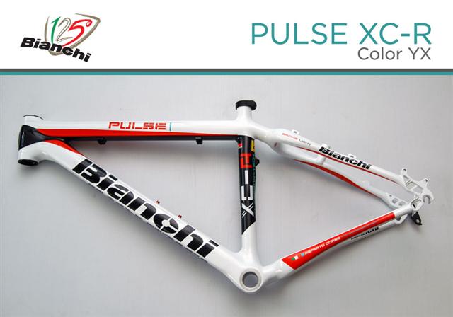 pulse_yx_00 (Small).jpg